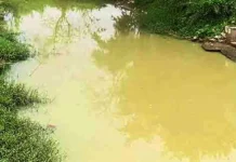 নওগাঁয় খাড়িতে গোসল করতে নেমে স্বামী-স্ত্রীর মৃত্যু নওগাঁয় খাড়িতে গোসল করতে নেমে স্বামী-স্ত্রীর মৃত্যু