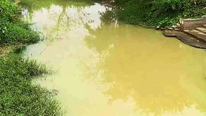 নওগাঁয় খাড়িতে গোসল করতে নেমে স্বামী-স্ত্রীর মৃত্যু