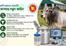 🐄 গবাদিপশুর প্রজনন খাতে আসছে নতুন আইন, অনিয়মে সর্বোচ্চ ৫ বছর কারাদণ্ড 🐄 গবাদিপশুর প্রজনন খাতে আসছে নতুন আইন, অনিয়মে সর্বোচ্চ ৫ বছর কারাদণ্ড