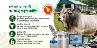 🐄 গবাদিপশুর প্রজনন খাতে আসছে নতুন আইন, অনিয়মে সর্বোচ্চ ৫ বছর কারাদণ্ড 🐄 গবাদিপশুর প্রজনন খাতে আসছে নতুন আইন, অনিয়মে সর্বোচ্চ ৫ বছর কারাদণ্ড