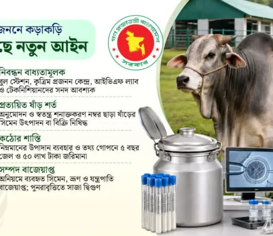 🐄 গবাদিপশুর প্রজনন খাতে আসছে নতুন আইন, অনিয়মে সর্বোচ্চ ৫ বছর কারাদণ্ড 🐄 গবাদিপশুর প্রজনন খাতে আসছে নতুন আইন, অনিয়মে সর্বোচ্চ ৫ বছর কারাদণ্ড