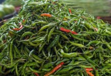 কাঁচামরিচ আমদানির অনুমতি দিল সরকার, কমছে আমদানি করও কাঁচামরিচ আমদানির অনুমতি দিল সরকার, কমছে আমদানি করও