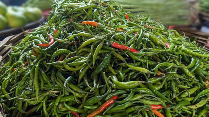 কাঁচামরিচ আমদানির অনুমতি দিল সরকার, কমছে আমদানি করও