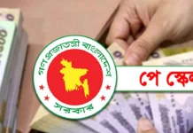 সরকারি চাকরিজীবীদের বেতন সর্বোচ্চ দ্বিগুণ করার সুপারিশ, বাস্তবায়ন হবে দুই ধাপে সরকারি চাকরিজীবীদের বেতন সর্বোচ্চ দ্বিগুণ করার সুপারিশ, বাস্তবায়ন হবে দুই ধাপে