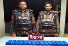উখিয়ায় পৃথক অভিযানে এক লাখ ইয়াবা উদ্ধার উখিয়ায় পৃথক অভিযানে এক লাখ ইয়াবা উদ্ধার