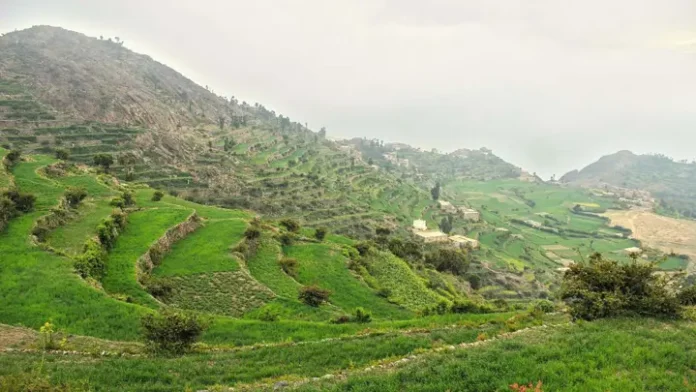 Taiz-5aae7e-720x405 ইয়েমেনে সাবির পাহাড় দখলের দাবি হুথিদের, তাইজ শহর ঘিরে বাড়ছে সংঘাত